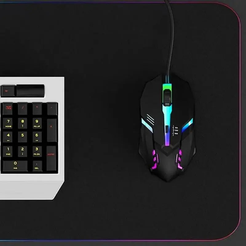 souris gaming ergonomique USB rétroéclairée