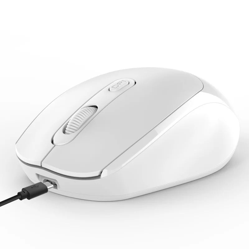 Souris sans fil rechargeable Bluetooth & 2.4G